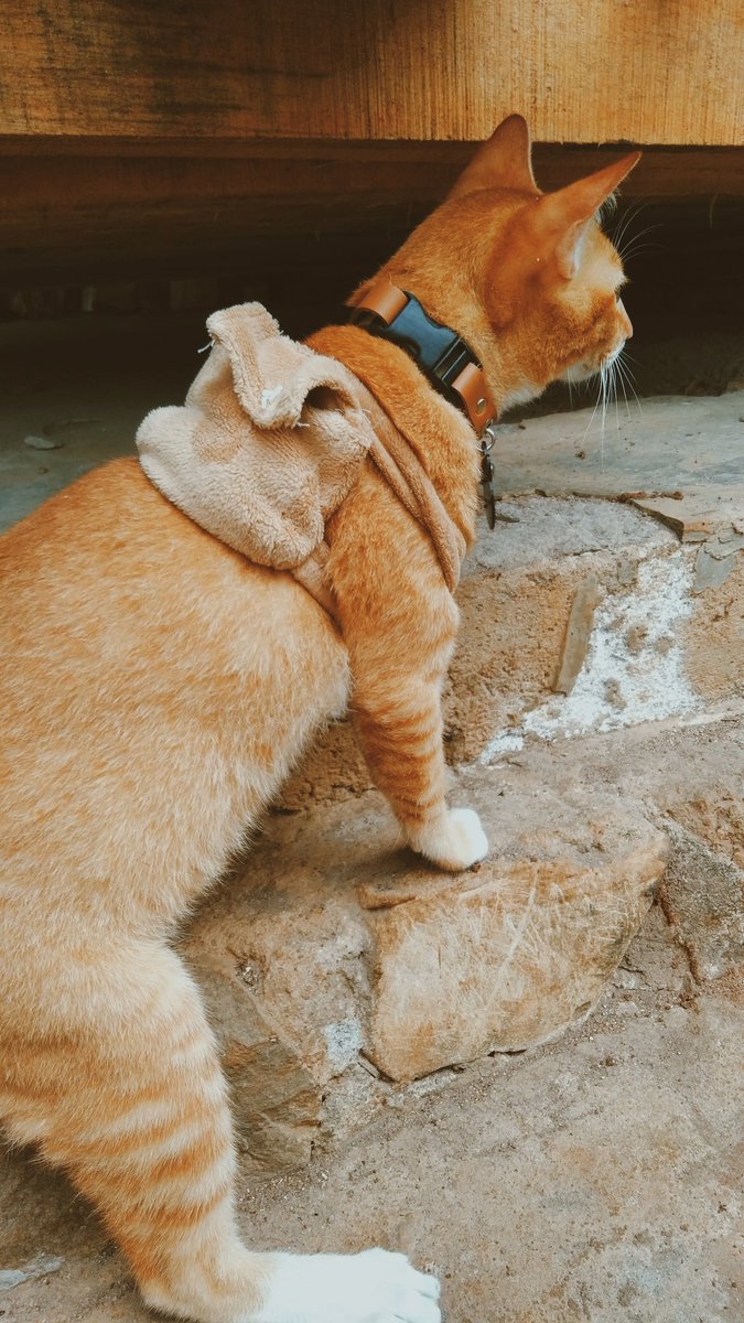 Nak sekola pun~