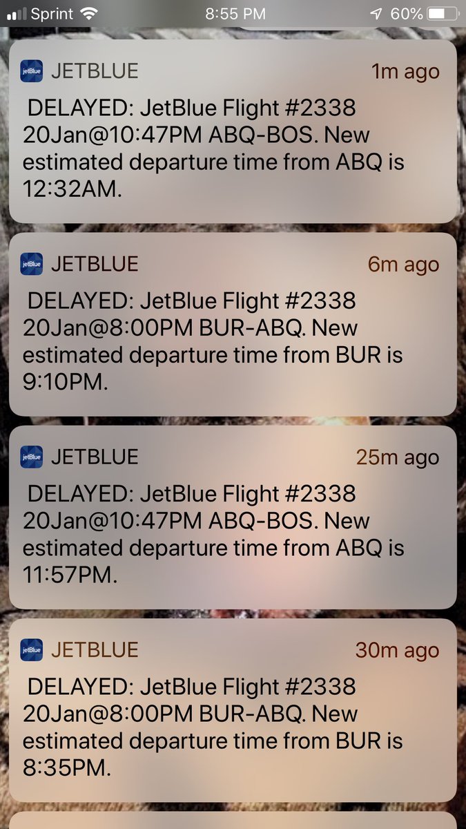 MichaelOrland's tweet photo. Just keep messing up @JetBlue and sending me notifications for more delays of flights Iโm not even on. Are you KIDDING? #MoreEpicFails #StopTheNotifications #AndThereAreWayMore https://t.co/VxslXWK9eL