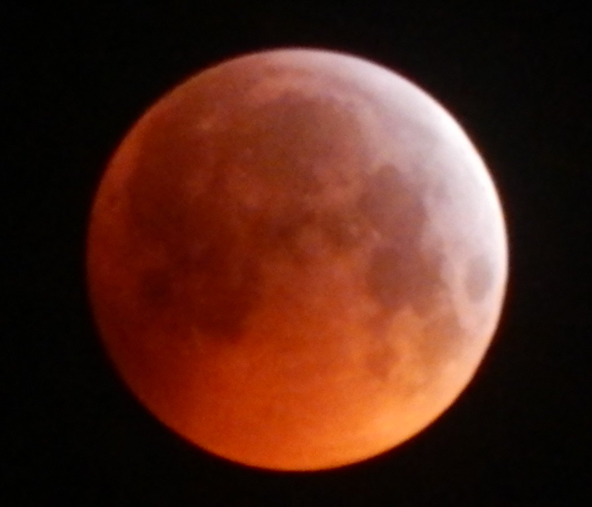 bronowski666's tweet image. Total eclipse of the moon!
#thephotohour #stormhour #moon #lunareclipse #northeast #england