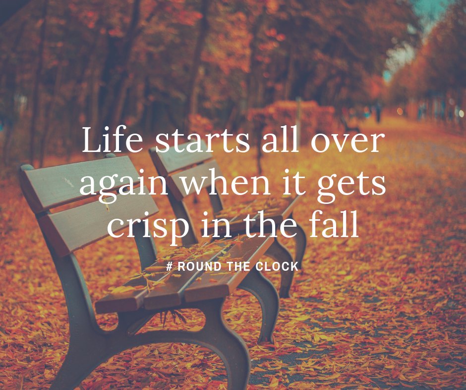 aidhive's tweet image. 