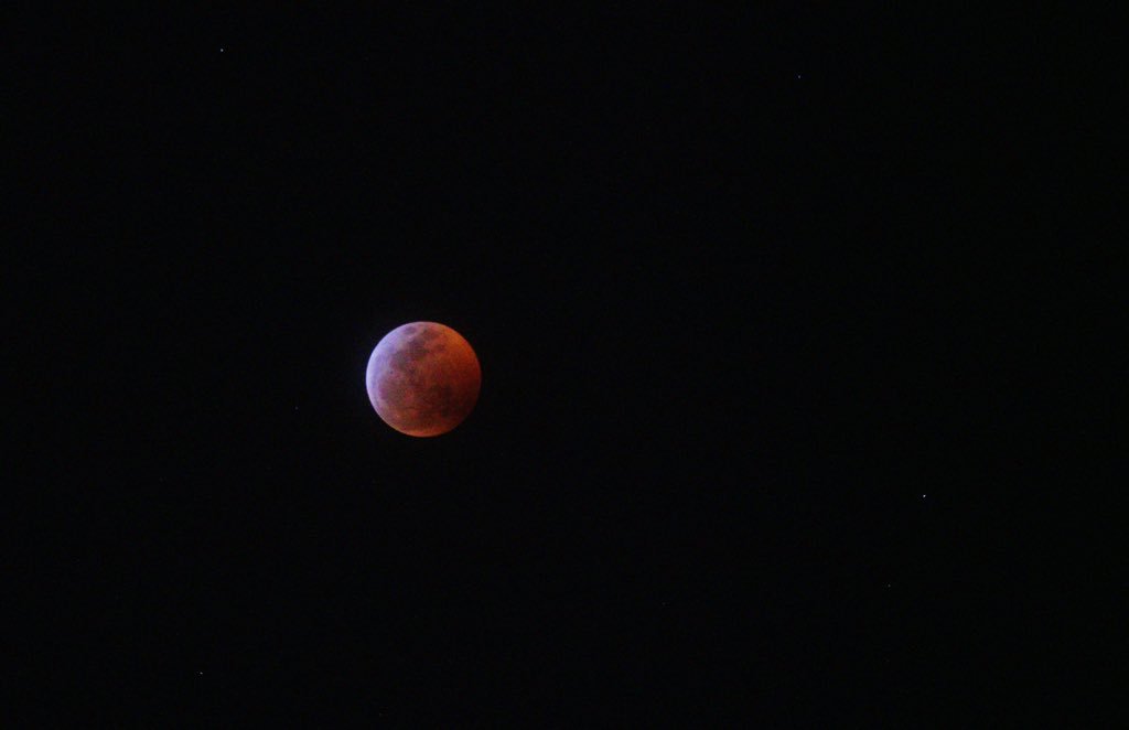SalgadoPhoto_'s tweet image. Here’s an updated shot of #SuperWolfBloodMoon  and #lunareclipse and this wider version even includes, what I believe, are stars.  

#lunareclipse2019
