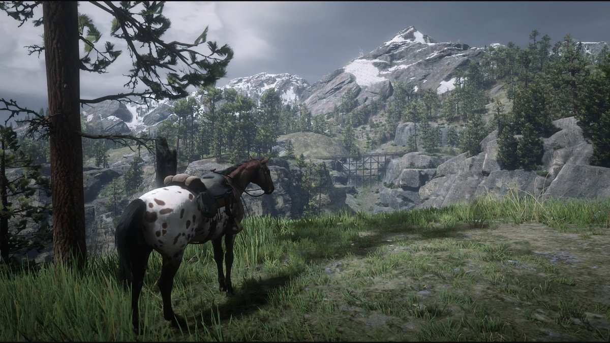 EJGames4's tweet photo. #rdr2 #reddeadredemption2 #PS4share https://t.co/gDsSe05Fk9