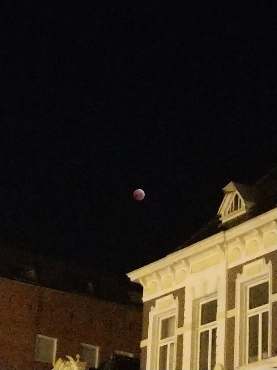 nataschavthooft's tweet photo. Morning #bloedmaan #Groningen #Westerhaven #Grunn https://t.co/exFKNnS2dy
