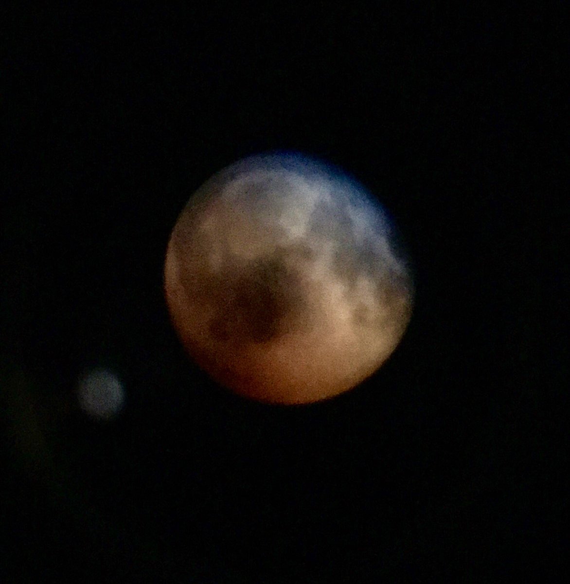 MouseServices's tweet photo. #bloodmoon  for those that didn’t have clear sky https://t.co/LugLQsUbe9