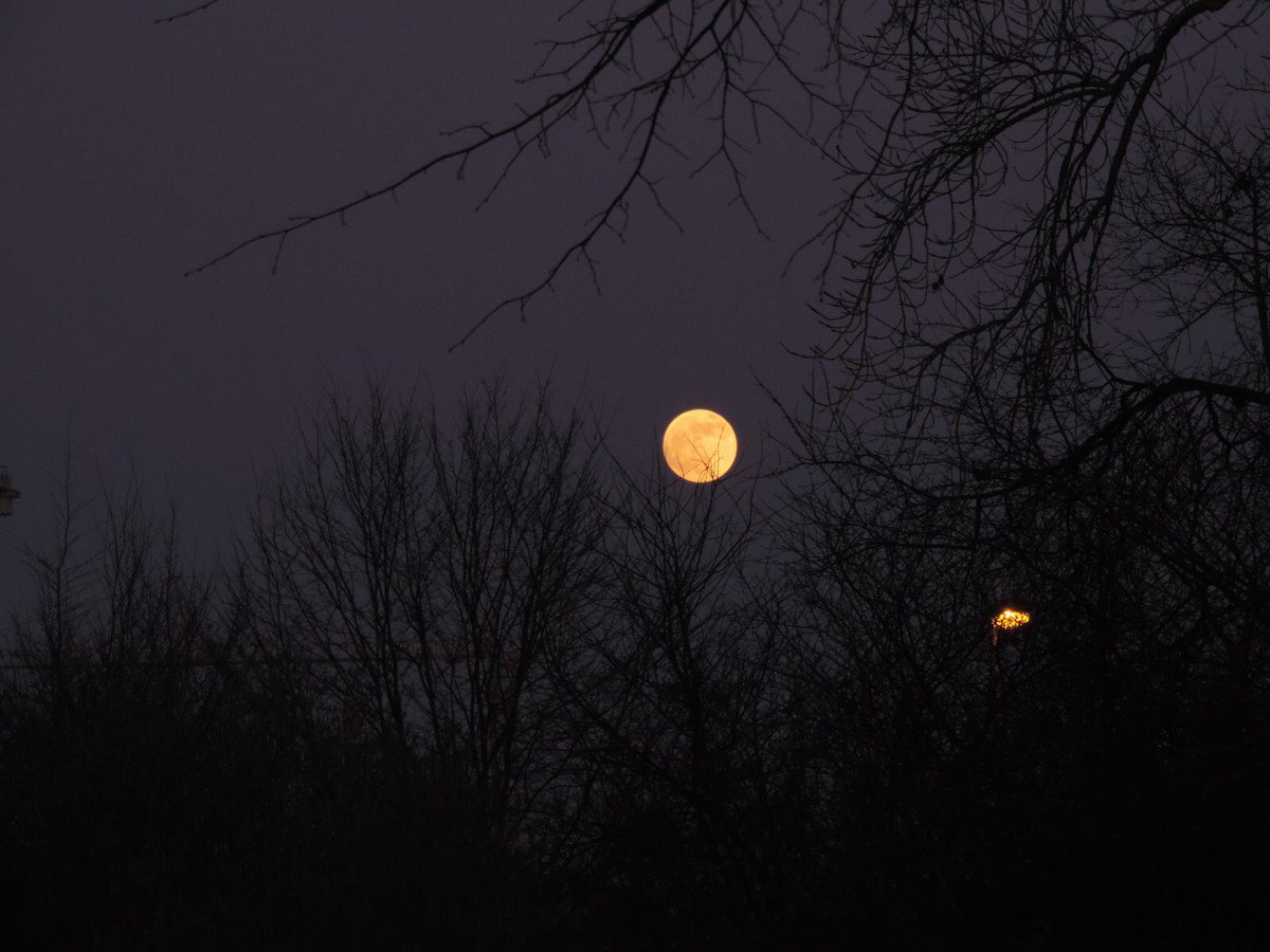 Ein paar Impressionen von der #Mondfinsternis 

#mofi2019 #mooneclipse2019 #yourESA