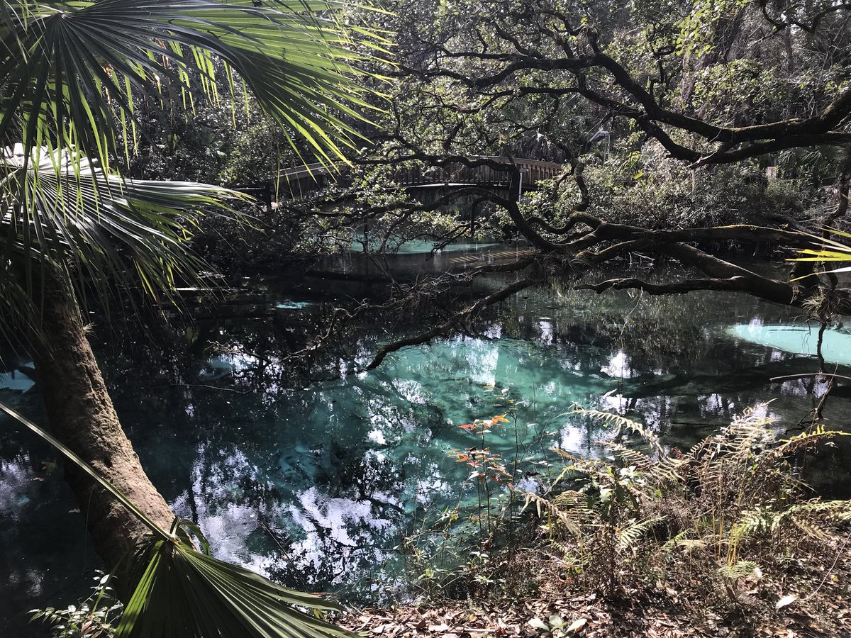 Exploring #JuniperSprings #FL #Florida #FloridaSprings #FLSprings #FloridaParks #Water