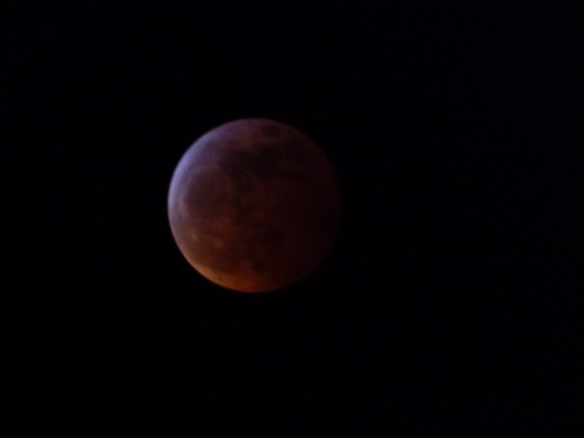 _Thomas90's tweet photo. @KING5Seattle Picture taken in SeaTac Blood Wolf Moon https://t.co/ndhwQeqOrU