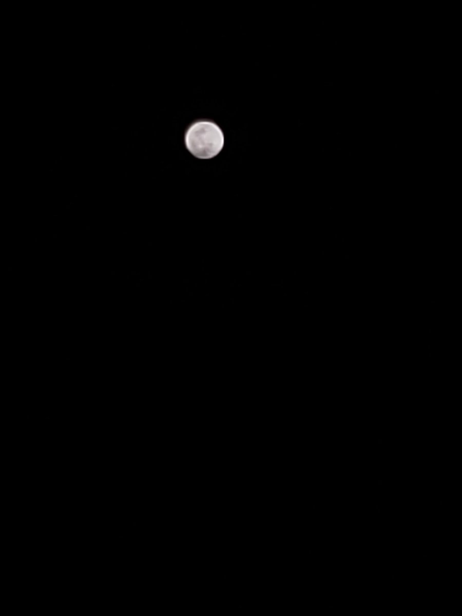 savydls79's tweet photo. #bloodmoon #texassky #texasnight #superbloodwolfmoon beautiful! https://t.co/7uc1JggByj