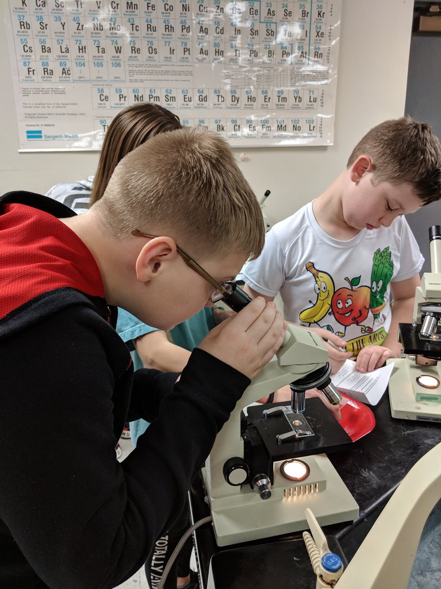 lhulsey98's tweet photo. Getting familiar with microscopes Friday in #IronsEngineering 1 classes! We looked at the letter "e" and our hair while learning how to work the microscopes! https://t.co/54tanVokor