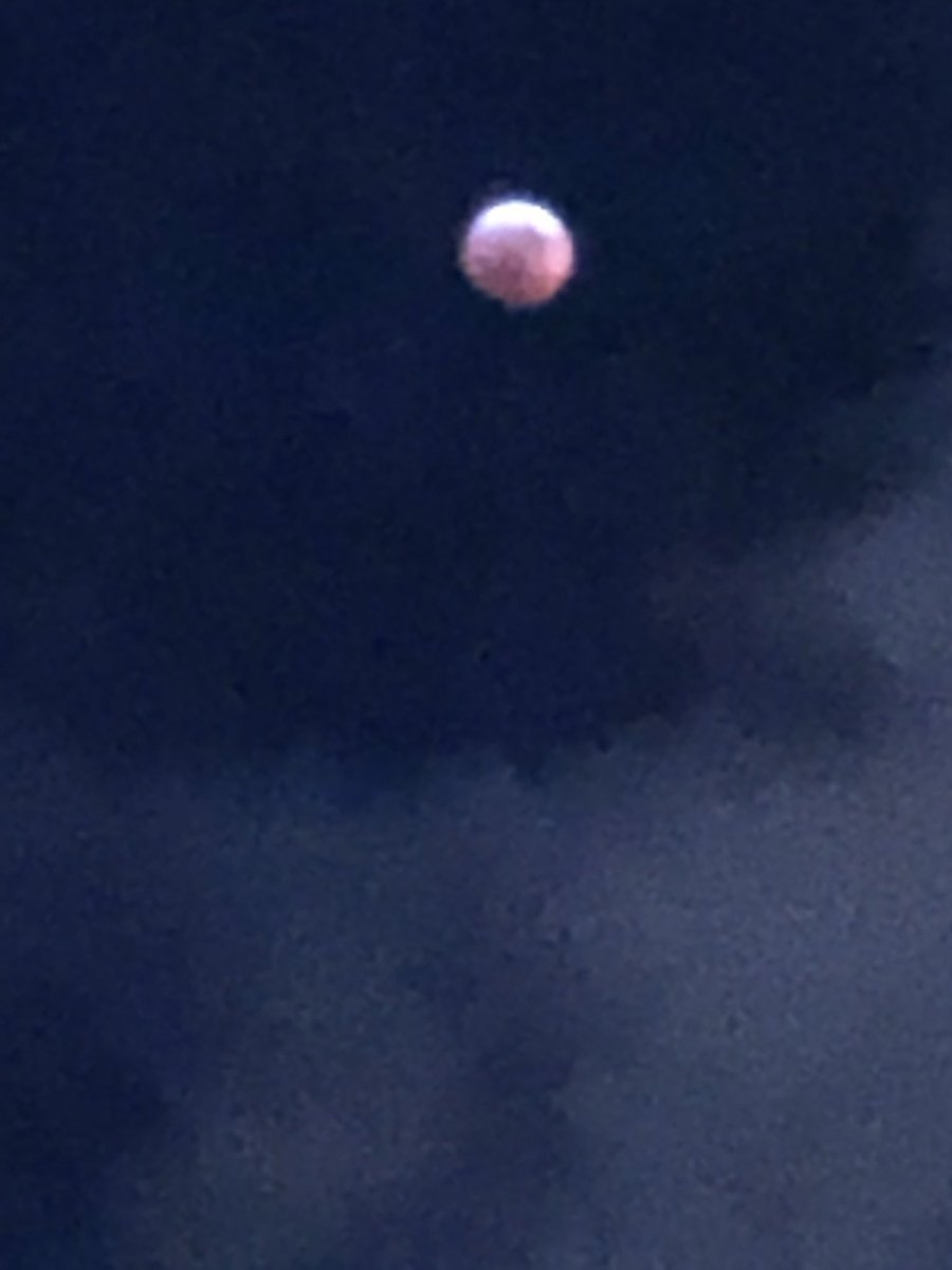 CollinsAtl's tweet photo. @nycgov #SuperBloodWolfMoon over West Chelsea #AlwaysNYC #frozenToes #warmSoul #cosmicEvents https://t.co/TbasoVW2Sa