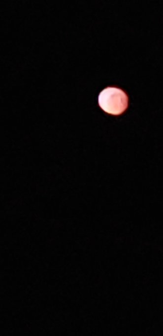 bloodmoon