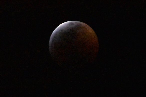 waltzgallery's tweet photo. #redmooneclipse #superbloodredmoon Superblood Red Moon eclipse tonight in the western world. @NixonFirstAlert @PhilAmatoANjax @MikeFirstAlert @wxgarrett @CSimmaWX @ErinClanahanCBM @RussellANjax @DawnANjax @TenikkaANjax @LetishaANjax @BethANJax https://t.co/alLzuZaUXZ