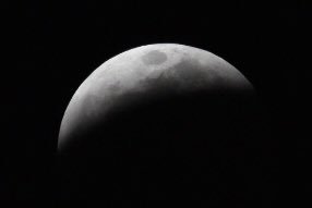 waltzgallery's tweet photo. #redmooneclipse #superbloodredmoon Superblood Red Moon eclipse tonight in the western world. @NixonFirstAlert @PhilAmatoANjax @MikeFirstAlert @wxgarrett @CSimmaWX @ErinClanahanCBM @RussellANjax @DawnANjax @TenikkaANjax @LetishaANjax @BethANJax https://t.co/alLzuZaUXZ