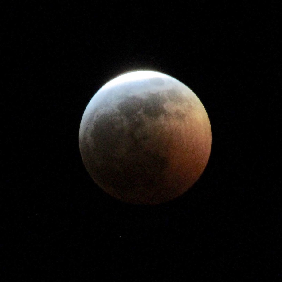AmberNash5's tweet photo. @spann Blood Moon in Altoona, Al 🌒 https://t.co/9gxMoViwtM