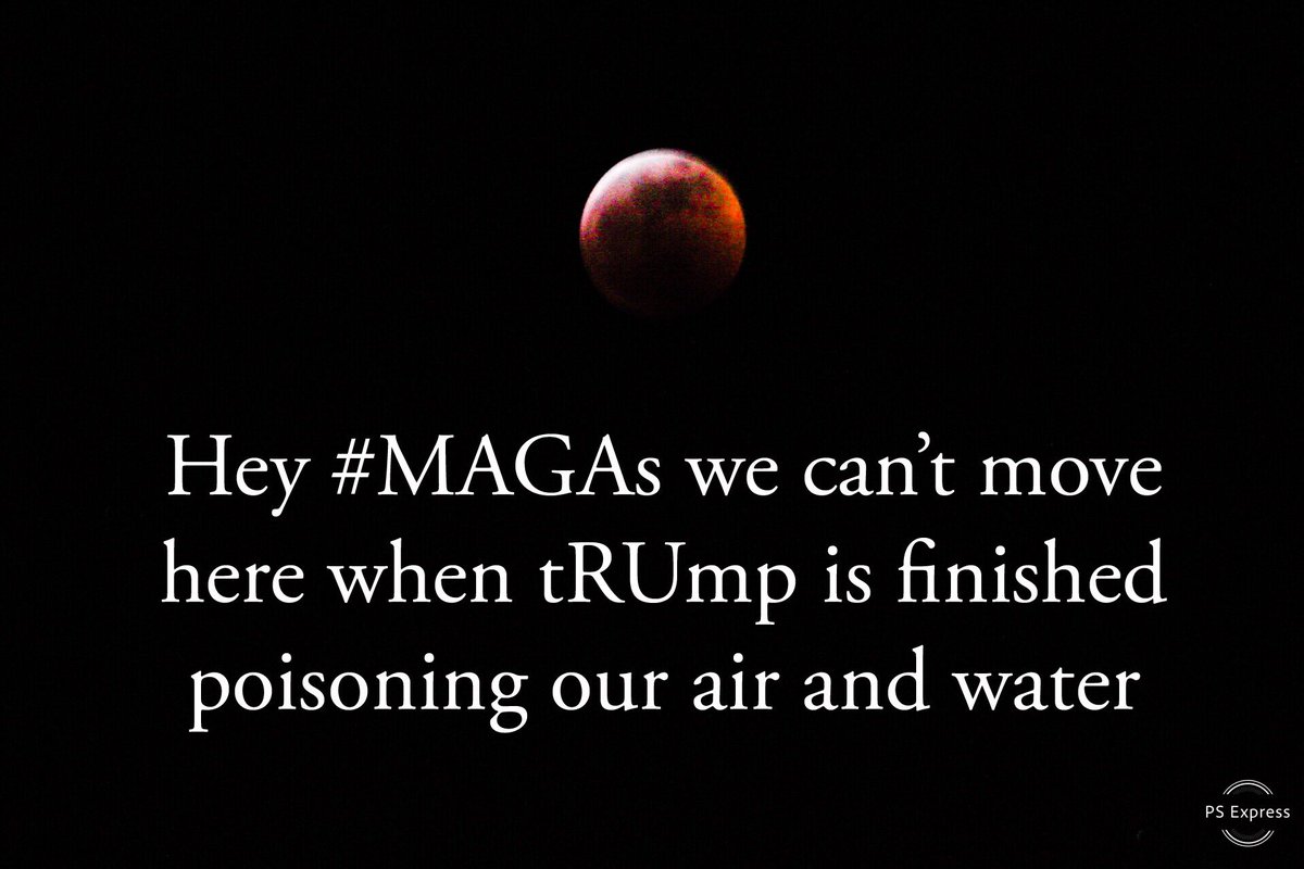 eric Lundquist tweet media