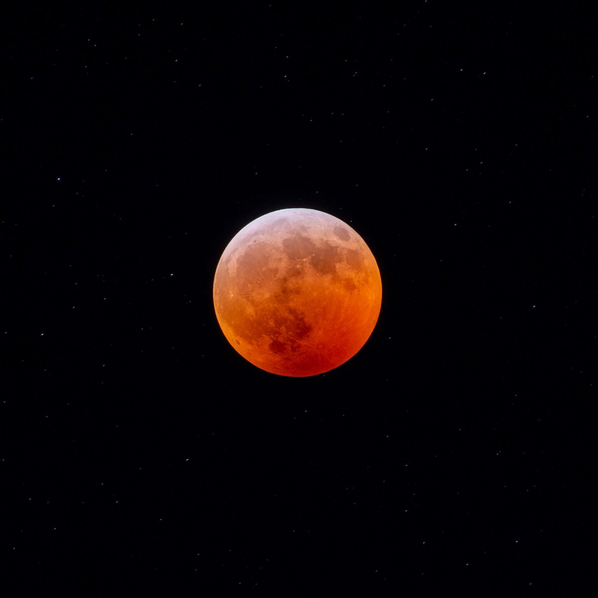 derek_kind's tweet photo. Bloody moon...

30 second exposure with the Nikon D850, 70-300 lens and the Star Adventurer tracking mount.

#BloodMoon #LunarEclipse #BloodWolfMoon https://t.co/P3UtKtErgr