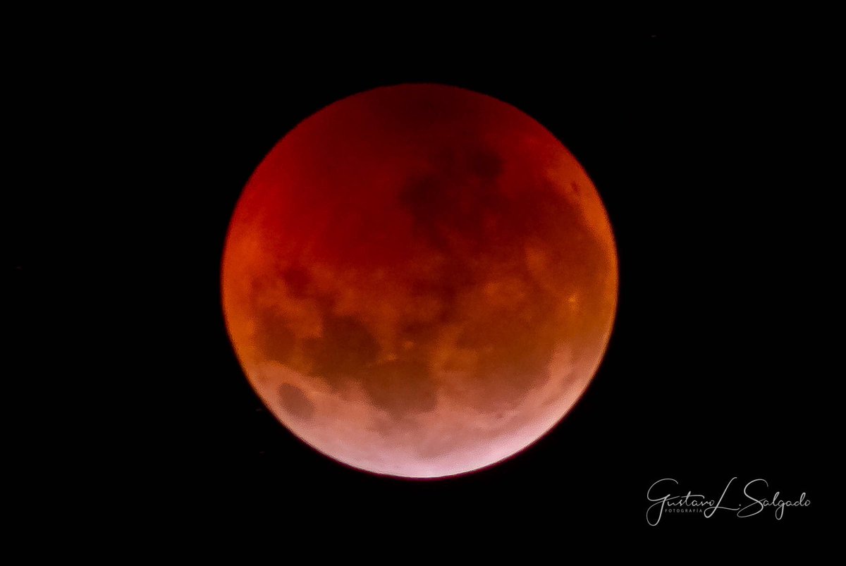 GLSpro's tweet photo. #Eclipse2019 #LunaRoja2019 #RedMoon2019
Lamentablemente cuando se puso roja tuvimos alguna nubosidad, pero zafamos!
#SanLuis #Argentina
.
.
#GLSfotografia #GLSpro #NikonD600 #300mmX2 #eclipsephotography https://t.co/VkPTBanwFG