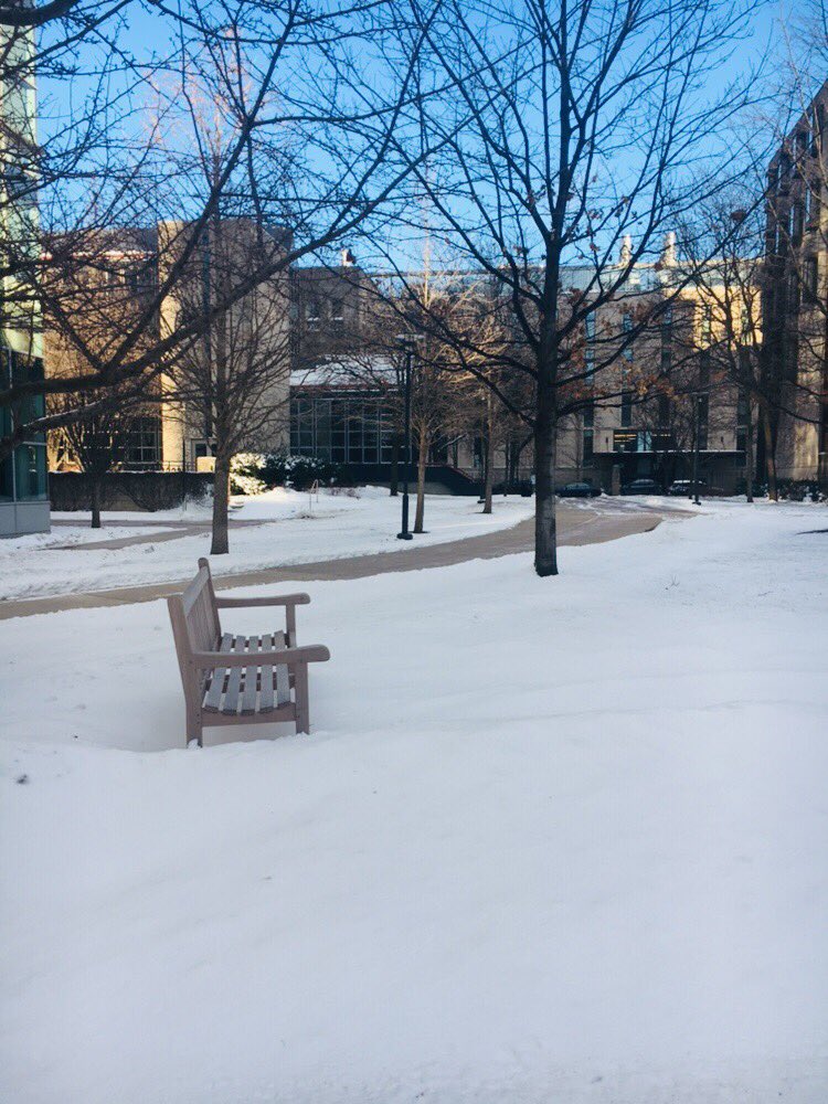 DrPreetyBajwa's tweet image. Although the sun is smiling bright but it still feels like -18 and your cells need you! #researchlife 👩‍⚕️👩‍🔬#bravingthecold❄️ @UChicagoPostdoc @science_a_thon