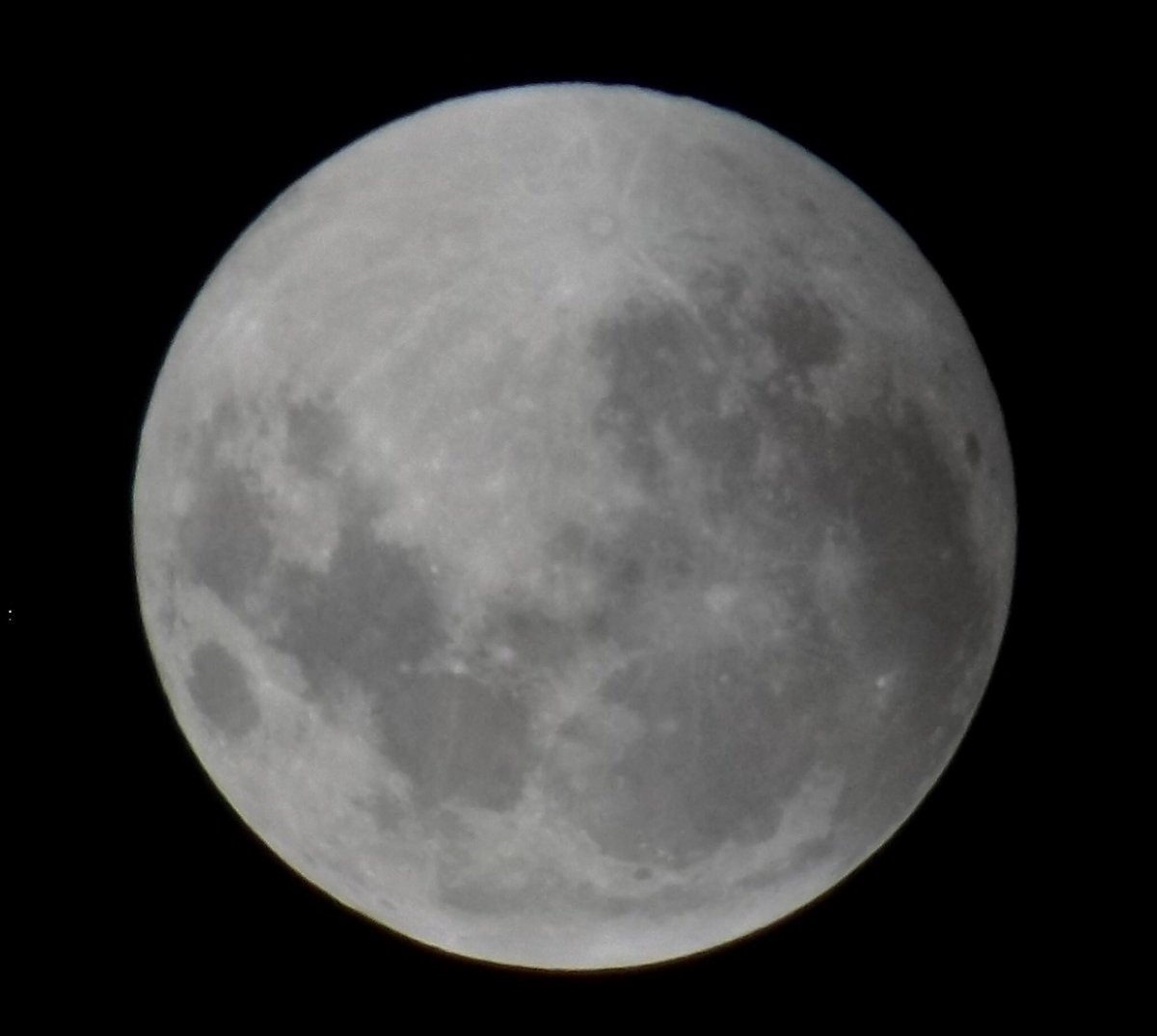 ProgramaEncuen1's tweet photo. #LunaDeSangre 
#Eclipse2019 
#EclipseDeLuna 
#FenomenosTN 
desde Resistencia, Chaco https://t.co/KLgNUb0Uf7