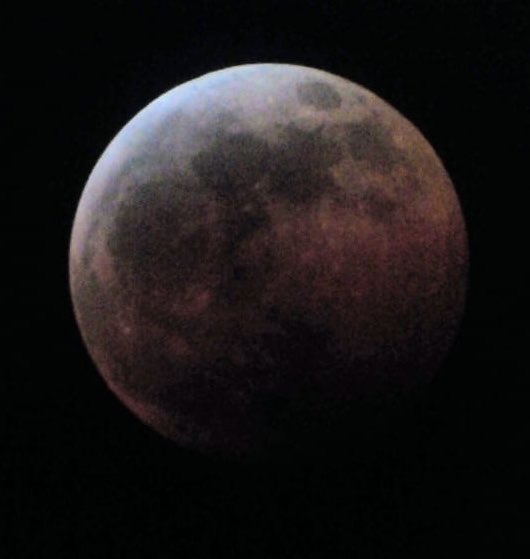 ProgramaEncuen1's tweet photo. #LunaDeSangre 
#Eclipse2019 
#EclipseDeLuna 
#FenomenosTN 
desde Resistencia, Chaco https://t.co/KLgNUb0Uf7