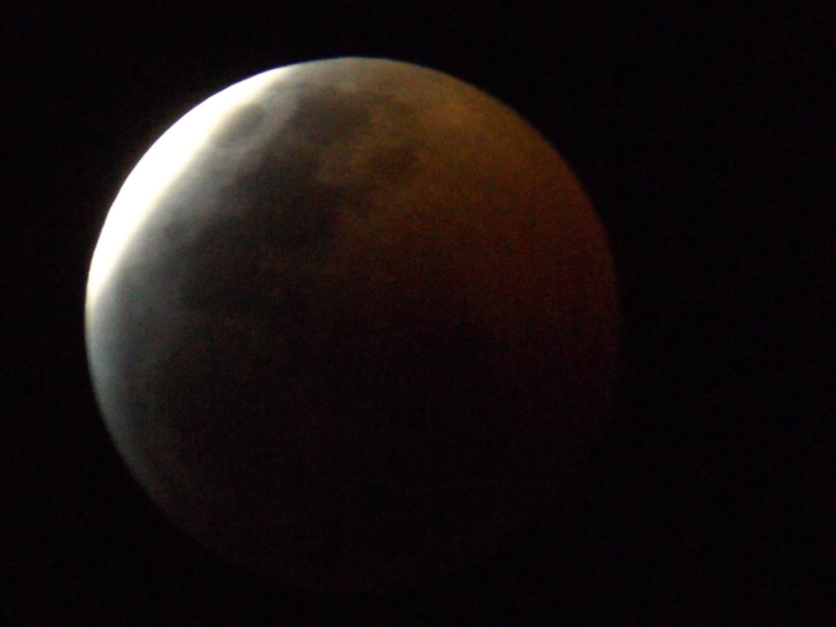 bazajoe's tweet photo. @SkyAlertMx fotos desde la ciudad de México #EclipseConSkyAlert https://t.co/8DyAaTxtTp