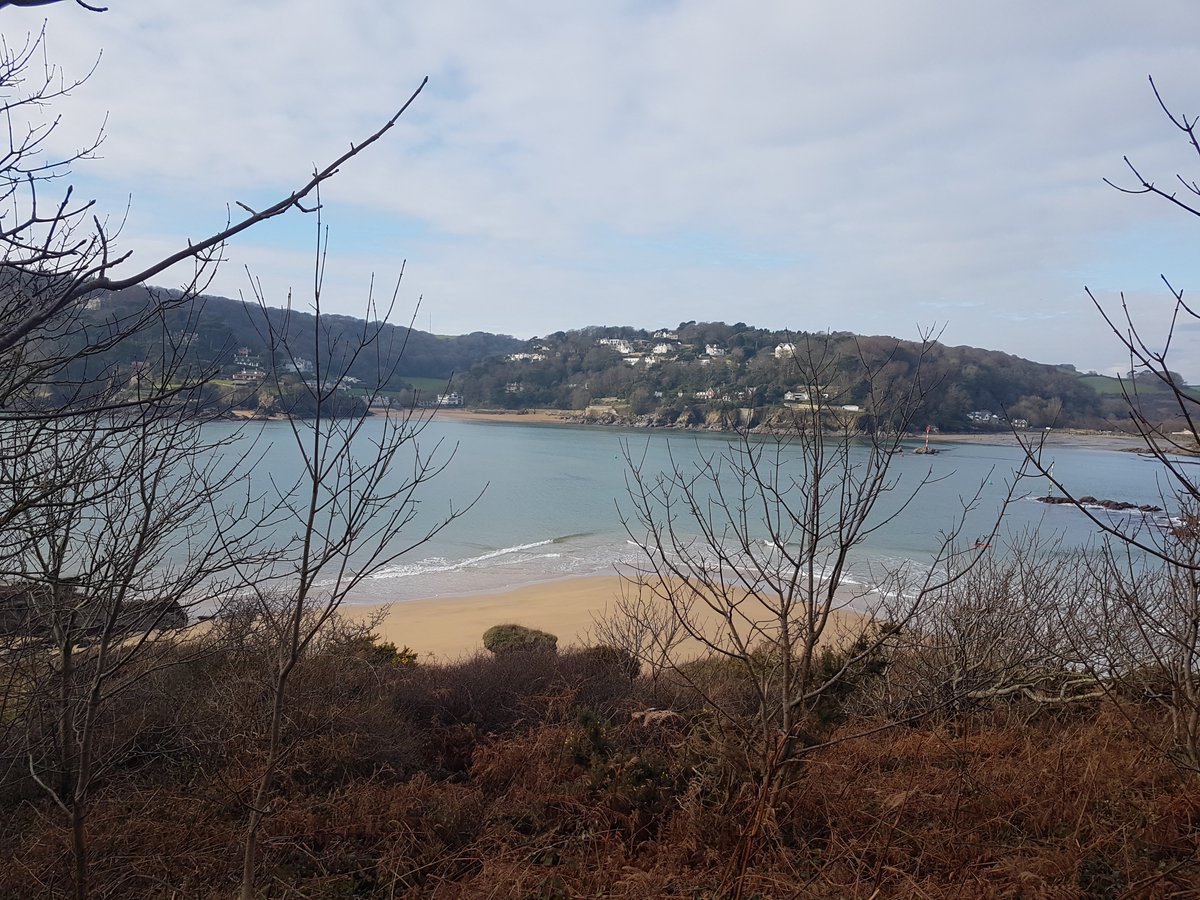 HamsAgent's tweet photo. The walk from Mill Bay to Gara Rock yesterday was stunning! Such a lovely loop back in the woods was also beautiful. Mid-point drinks and cake @GaraRock went down a treat also, oh and you must try their chips! So lucky to be leaving in the South Hams! @DevonLife @wearesouthdevon https://t.co/XszYzrVPzm