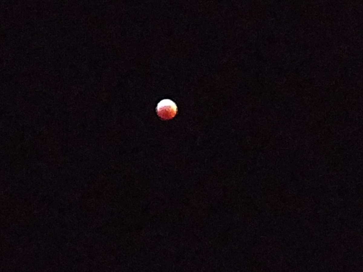 rayne_britt's tweet photo. A few phone pics of tonight's #superbloodmooneclipse

#SuperBloodWolfMoon #SuperBloodWolfMoonEclipse #SuperWolfBloodMoon https://t.co/bTTZ1FRhxG