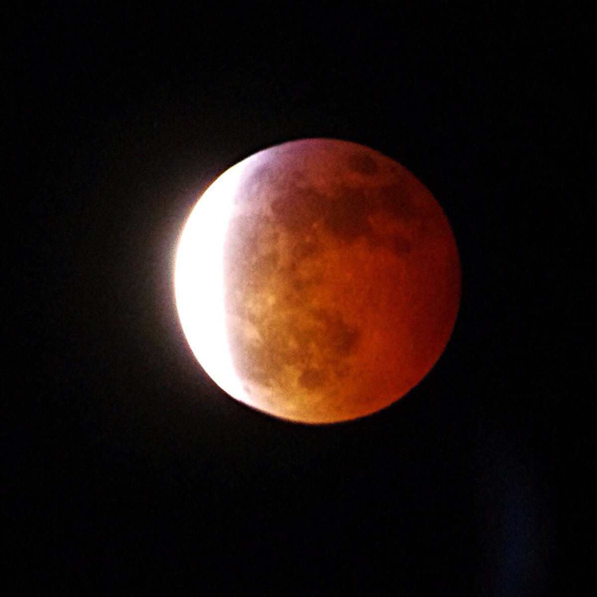 Clear skies tonight. #SuperBloodWolfMoon put on a show right outside my living room window. Thank you universe!