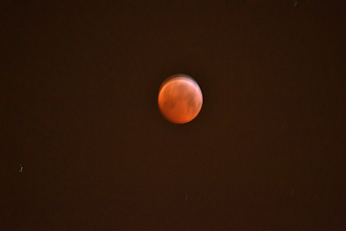 peterbecquart1's tweet photo. #maansverduistering #bloedmaan (lens 55-300mm) Locatie: Deurne zuid tijd: 21/01/2019 06.10u https://t.co/QWzbY2xwsG