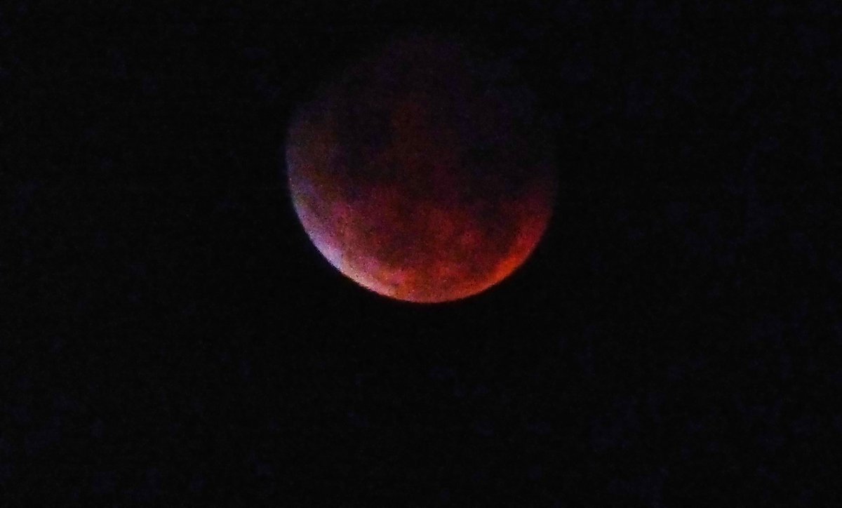 DFfromD's tweet image. Mit altem Teleskop und Handykamera #LunarEclipse #Blutmond