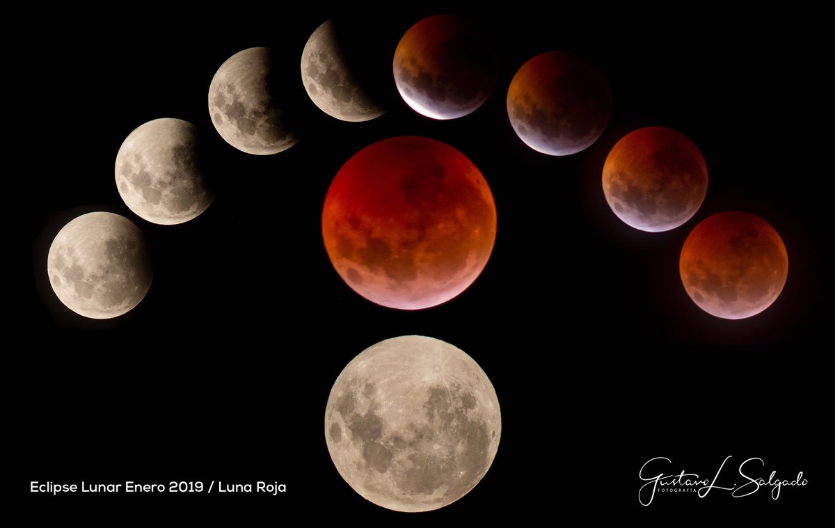 GLSpro's tweet photo. Secuencia #Eclipse2019 #LunaRoja2019 #RedMoon2019
#Argentina
.
.
#GLSfotografia #GLSpro #NikonD600 #300mmX2 #eclipsephotography https://t.co/Mw8o2pOoZ3