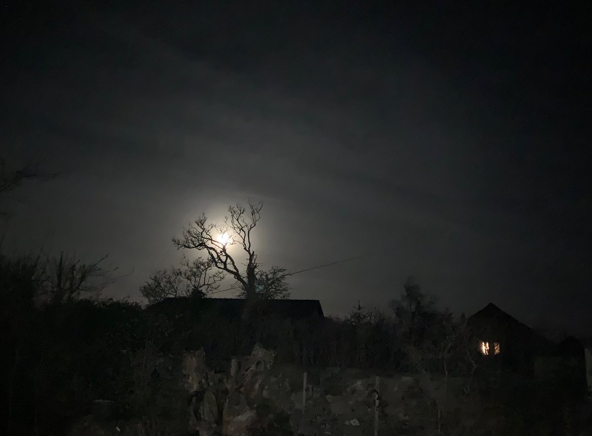 BumbleWorksSara's tweet photo. Super wolf blood moon is here now in my back garden ⁦@sarabandco⁩ #SuperBloodWolfMoon #cumbria ⁦@caldamac⁩ https://t.co/uFtWIi4VLu