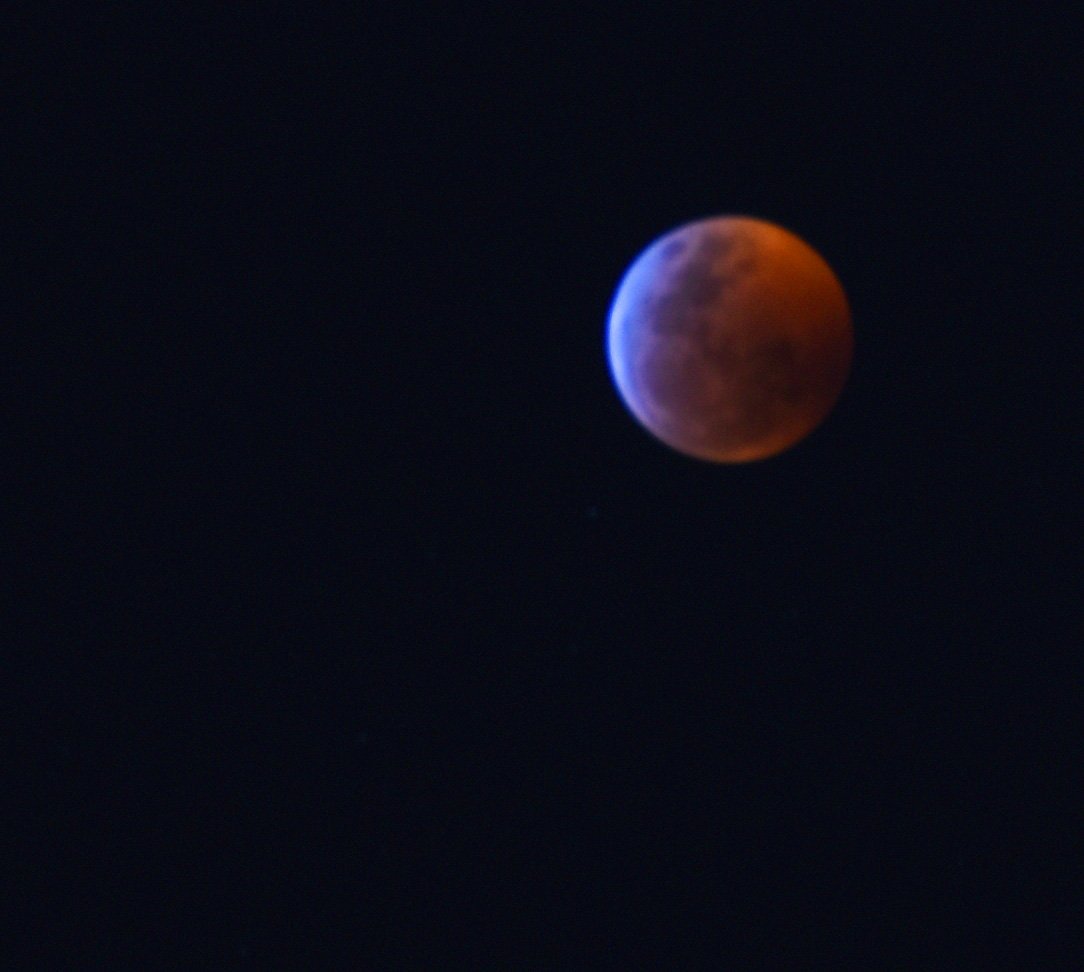 chartrix's tweet photo. Hoy noche de luna de sangre #photography #bloodmoon2019 #funny https://t.co/ijJLawrdQB
