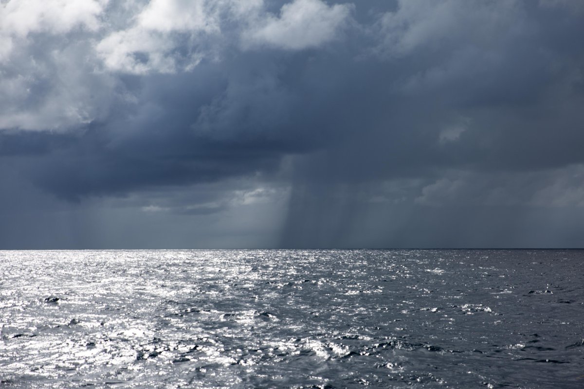 One more day, one more night at sea, and then they reach land. #twac2018 #row4rose #wildspirits