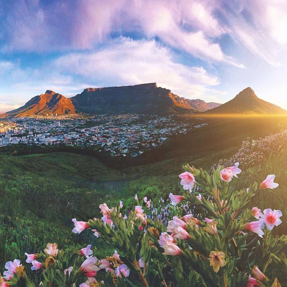 constantia1685's tweet photo. Hey Cape Town! 🙌

Your weather is sunny to partly cloudy 24 degrees. What have you got planned today? #ExploreCapeTown #TravelCapeTown #ExperienceCapeTown https://t.co/rmkyAVcSyo