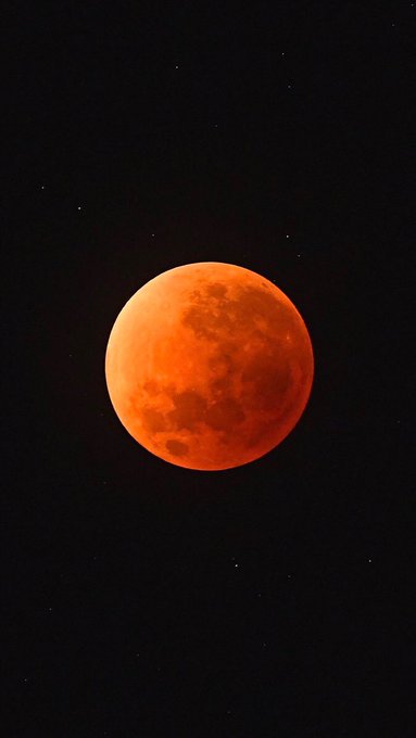Everyone is so excited about the blood moon and I’m just over here upset that my enemies have respawned
