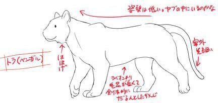 تويتر お絵かき図鑑 على تويتر 屈強なライオンやトラをリアルにかっこよく描いてみたい Gwさんの解説イラストから 描き 分け方をチェックしてみましょう ๐ ๐ T Co Ov1chhj802 Gwさんに記事掲載許可を頂いております T Co Oqer1atdtb