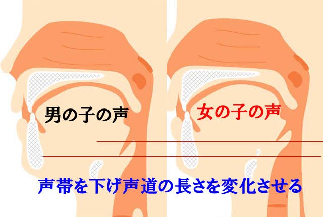 そりそりとりころーる 横槍失礼致す 喉仏上に上げると女声ぽくなるのはがちです ぼくはそんな感じで出してます