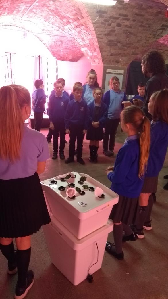 Year 5/6 overcoming challenges.
Food for the future #Aquaponics#farmurban