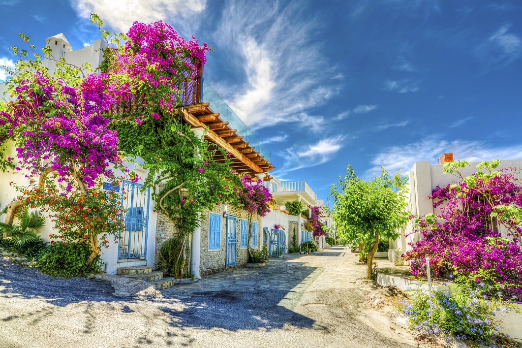 mynextflightuk's tweet photo. Monday madness and at My Next Flight we have some brilliant cheap holidays to Turkey!  

#mynextflight #travel #wanderlust #travelblogger #travelagent #motivation #holiday #turkey #beach #Bodrum #turkeyholiday #instatravel #hotel #exploration #tourist #travelling https://t.co/DoiRLkeWzt