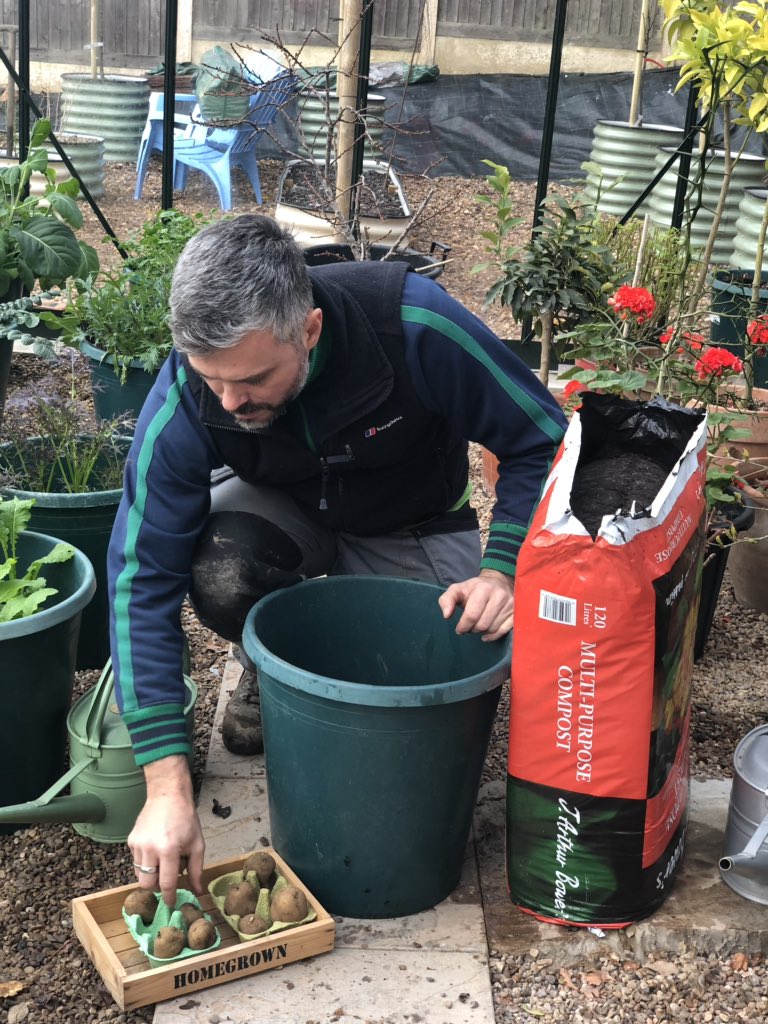 RobsAllotment photo