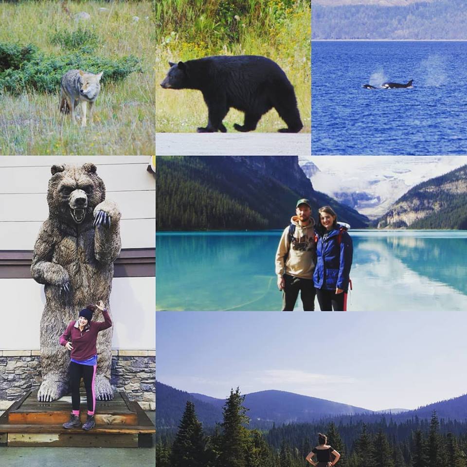 becswrites's tweet photo. 💃**NEW BLOG POST ALERT**💃
My post #Canada blog post has made me feel all emotional. While I sob quietly into my Vancouver jumper, please head over to https://t.co/CcpK4toLRM to see some pretty darn spectacular wildlife snaps!
🇨🇦🌲🐻#globalwanderer #womenwhotravel #travelblog https://t.co/nVwQTRg0r1