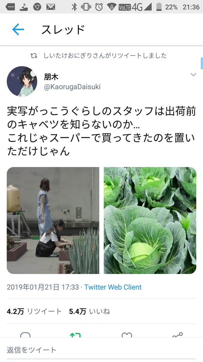 キャベツが可哀想ww実写がっこうぐらし！の畑の状態が有り得なさすぎて草ww