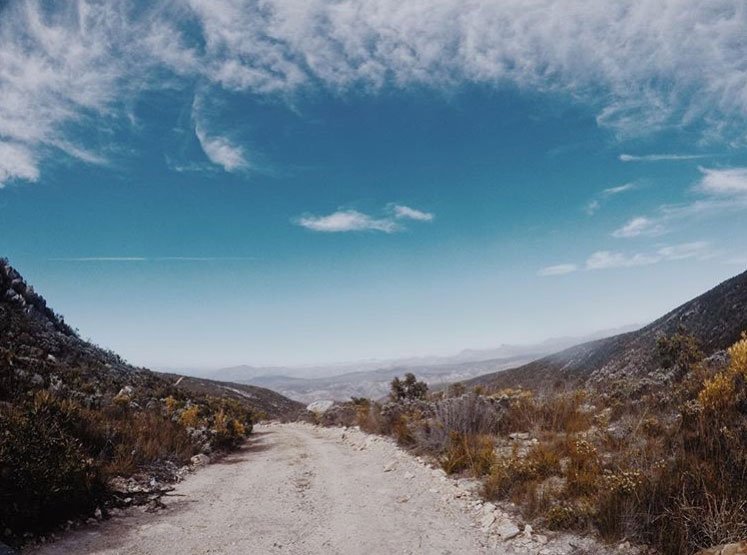 TsitsikammaLangkloof tweet media