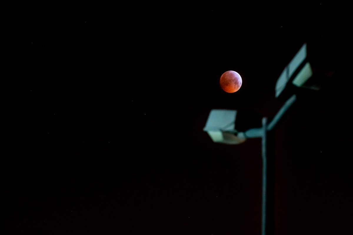 Photofarmer's tweet photo. [Werbung] war schon sehr frisch heute früh...
#blutmond #erfurt #thüringen #deinthüringen #blutmond2019 #fotograf #kalt #mond #astro #nacht #rot #bloodmoon #moon #blood #januar 
#sony #a7r3 | #sigma #mc11 | #canon #ef70200
https://t.co/Zk96WEy6Yv https://t.co/jGsfGRcPWD