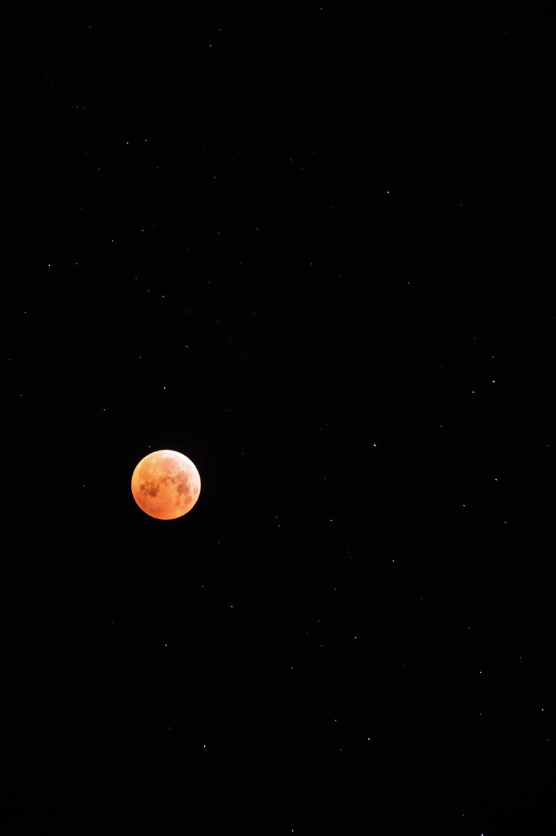 _diviem's tweet photo. Last night’s blood moon.
shot by me. https://t.co/OA1tZ4krGP