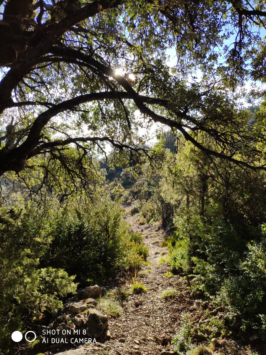 #Guara #Montaña #Huesca #Pirineos