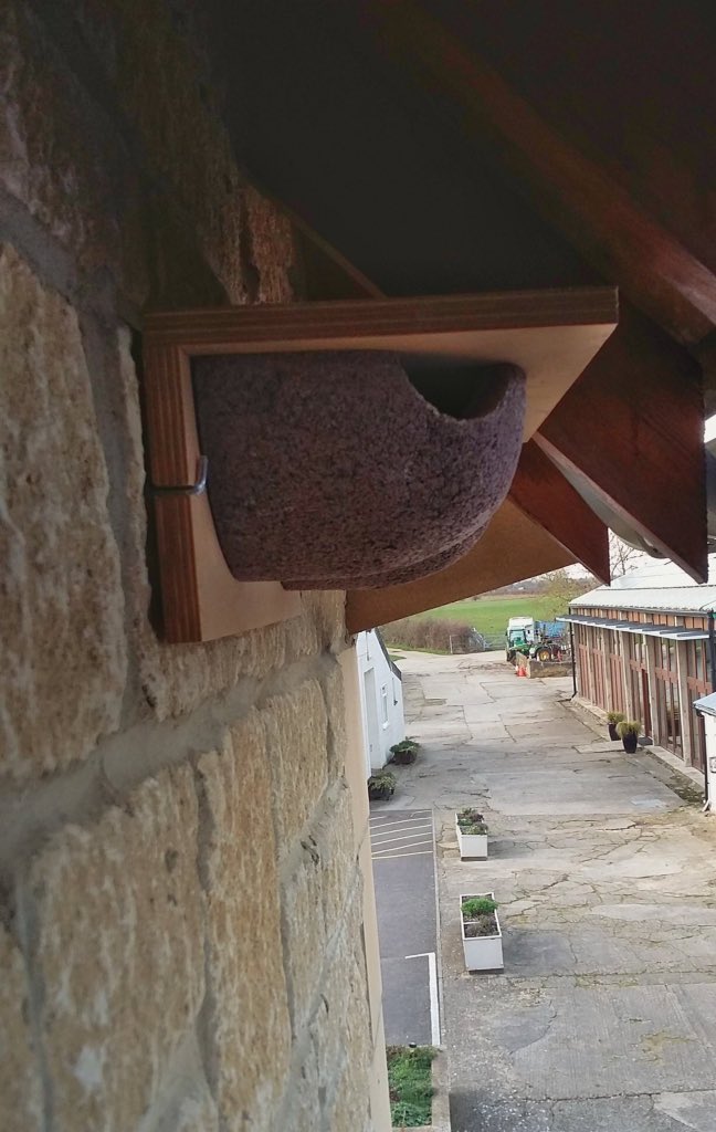 windmillfarmUK's tweet photo. Be sure to keep an eye out for these little boxes on your next visit to Windmill Farm. Do you know what they are and who might decide to make them their home? https://t.co/BLjPwERbUx
