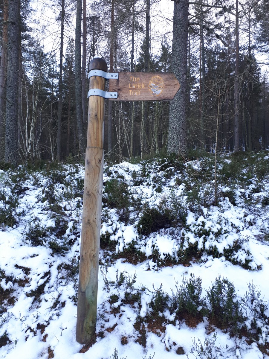 RunTheIsles's tweet image. More frozen paths leading us into the #bennachie hills this weekend #pathsforall #nationalobesityweek #goexplore #getoutdoors #oxencraig #mithertap