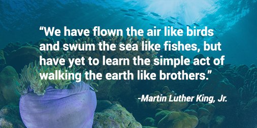 ✌🏻✌🏼✌🏽✌🏾✌🏿 #MLKDay2019